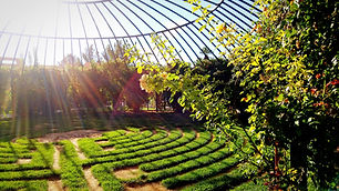 Landscape Architecture
