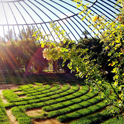 Landscape Architecture