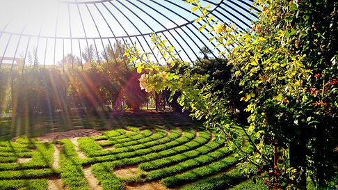 Landscape Architecture