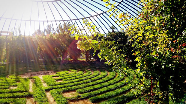 Landscape Architecture