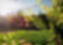 Landscaping San Diego   