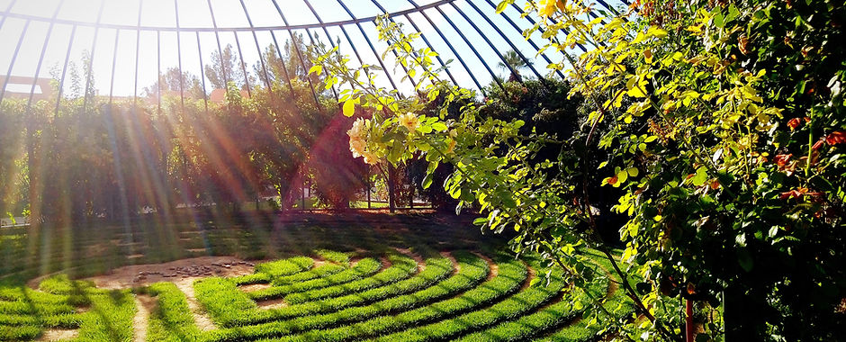 Landscape Architecture