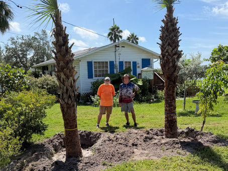 CVHS Volunteers pose by two new palm trees planted outside the Cortez Cultural Center