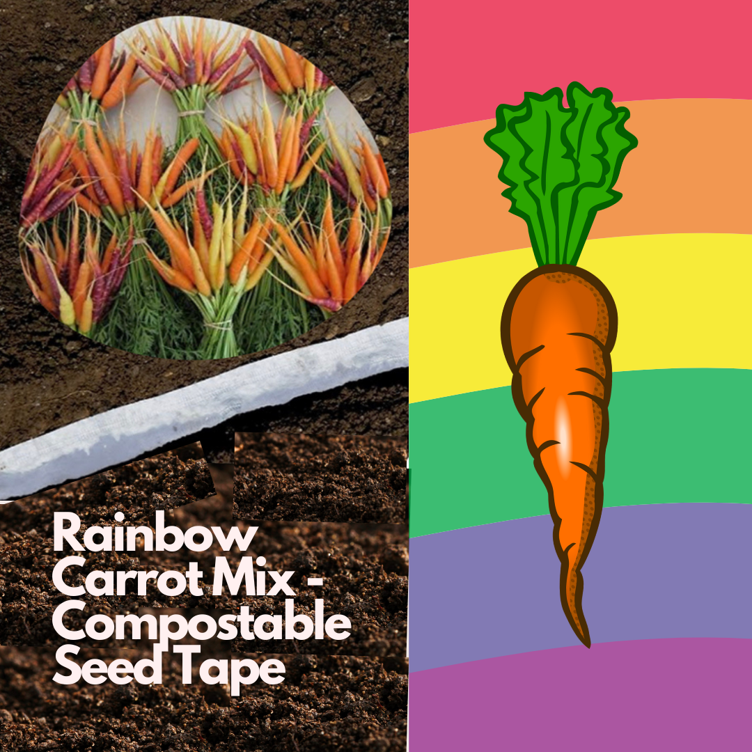 Rainbow Carrot Mix - Compostable Seed Tape ~ Approx 600 Seeds