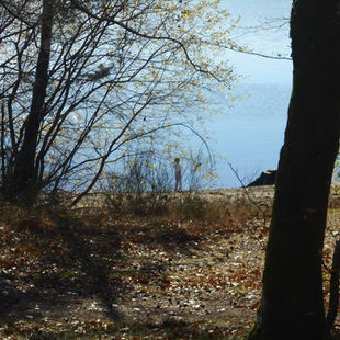 Our Life in France, Part Two (the anxiety years)