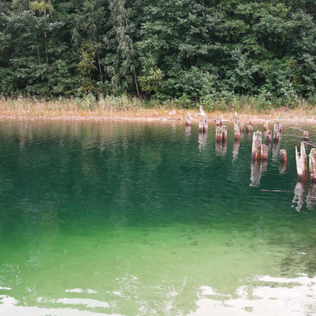 Case Study: 5,8 miliona wyświetleń w 2 miesiące!