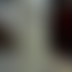 Case Study: Barański Drzwi