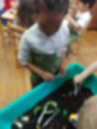 received_283574629225013.jpeg
