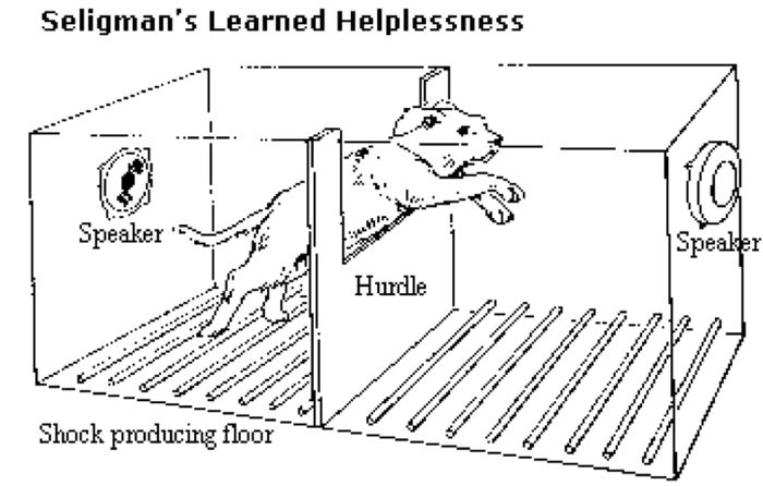 初學者的訓練和迷思