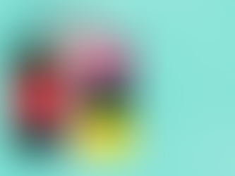 Chooseday 28th - Choose to Not Hamper the Environment This Festive Season!