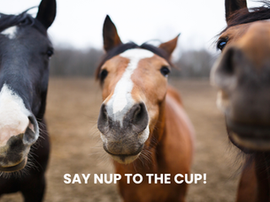 Chooseday 7th November - Choose to Say Nup to The Cup!