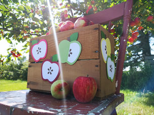 Apple Garland:  Craft Tutorial Pattern