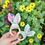 Thumbnail: Bunny Teether - Sewing Pattern