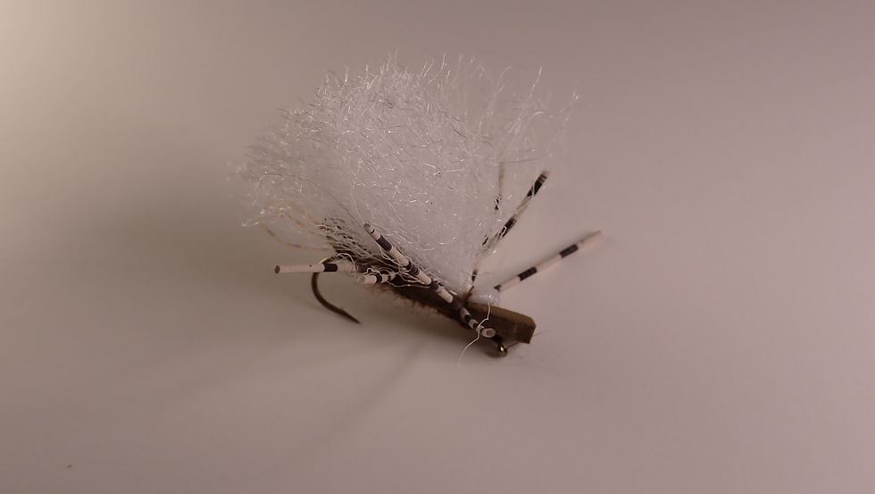 Thumbnail: Go-To Trout Box