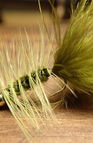 Woolly Bugger