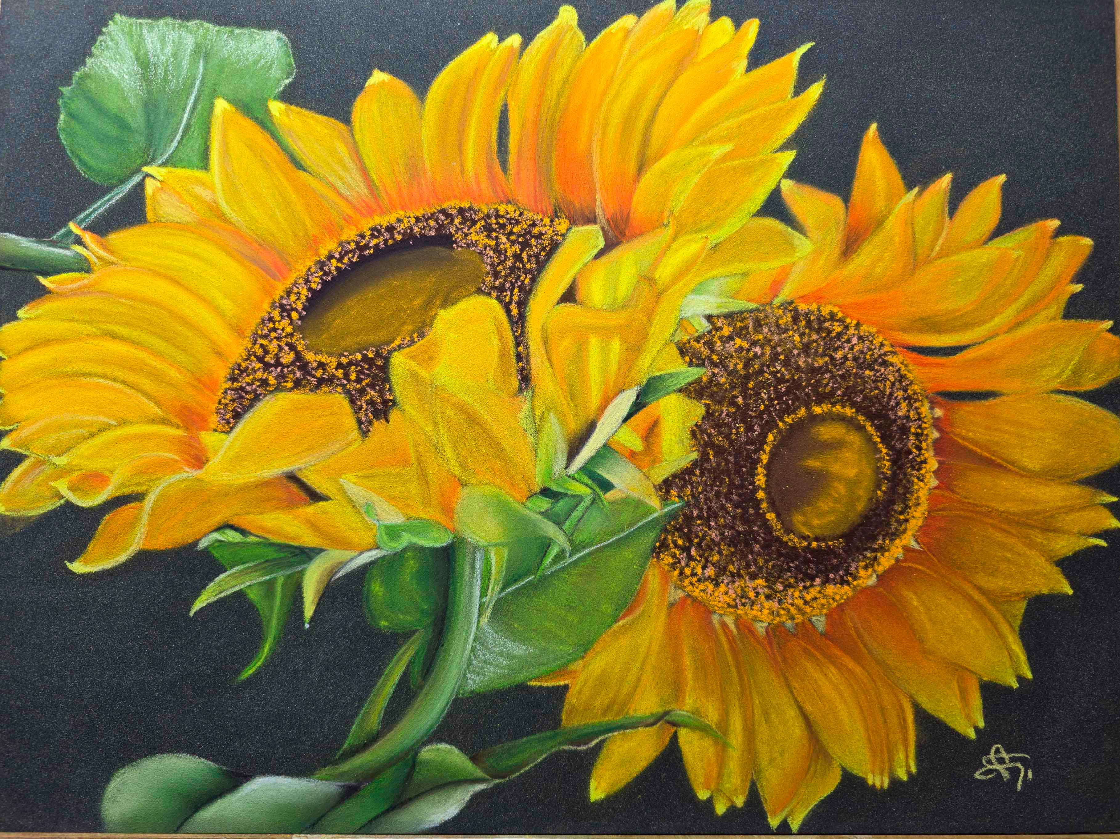 Les tournesols