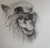 Chanel esquisse crayon