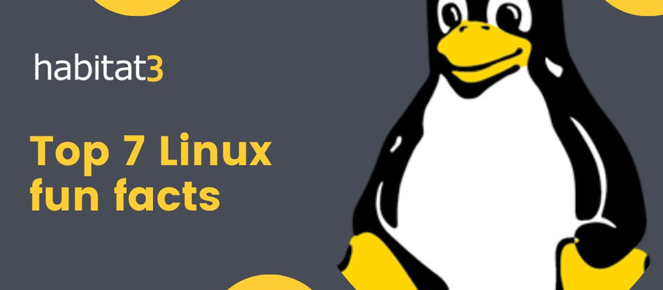 Our Top 7 Linux Fun Facts