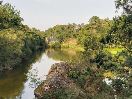 Gite avec piscine Brocéliande : séjournez au cœur de la légende à Iffendic