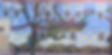 PXL_20210306_200156747_edited_edited_edited_edited_edited_edited.jpg
