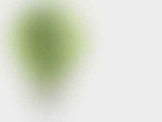 Our Commitment to Sustainability