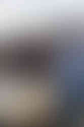 HopTopic_2023_Chili_Cookoff-81