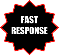 fast_response_elec.png