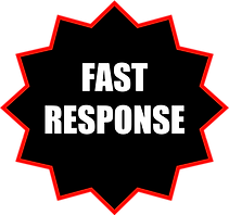 fast_response_elec.png