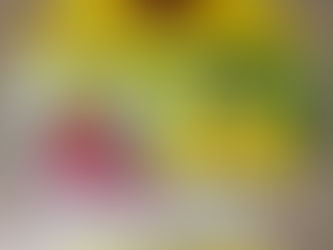 FULMINAT AKTION LECKMASSE