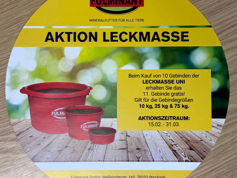 FULMINAT AKTION LECKMASSE