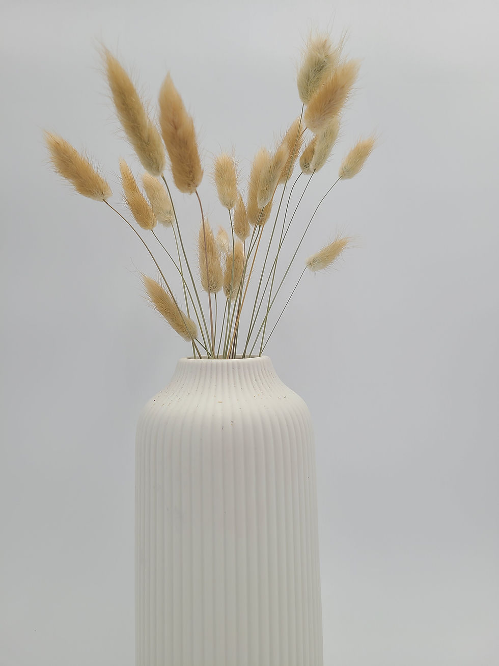 Thumbnail: Bunny Tails in Natural Brown (10 stems)