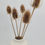 Thumbnail: Dried Teasel, Large Thistle Flower- Natural Brown (5 stem)