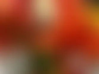 Enredos do Grupo Especial do Rio 2026 destacam personalidades e cultura negra