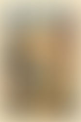 Falácias Lógicas: As Armas Ocultas das Campanhas Políticas