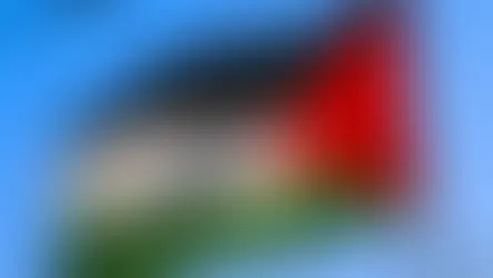 Organizações pró-Palestina convocam atos pelo Brasil; Niterói faz a sua no domingo (17)