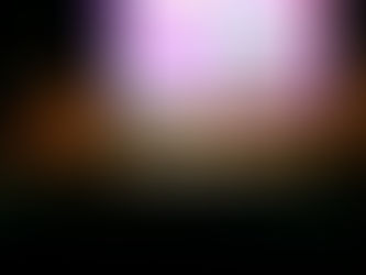 Primeira edição do Festival ODS em Niterói debate futuro sustentável