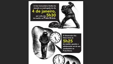 Cão Orelha: Polícia usa imagens e dados de celular para desvendar caso