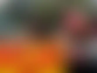 Ricos concentram 27% da renda e pagam menos impostos no país