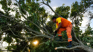 Ventania em Niterói mobiliza 600 trabalhadores e deixa 12 toneladas de resíduos