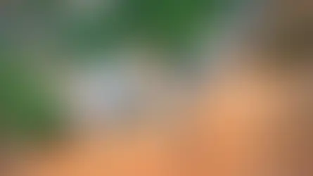 Mais de 57% de terras da reforma agrária são afetados por mineração