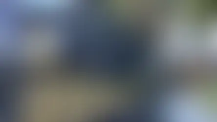 Operação em Icaraí mira desembargador e suspeita de favorecimento a construtoras