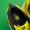 Thumbnail: NEW BALANCE SNEAKERS