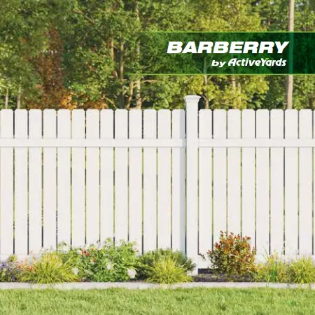 Barberry