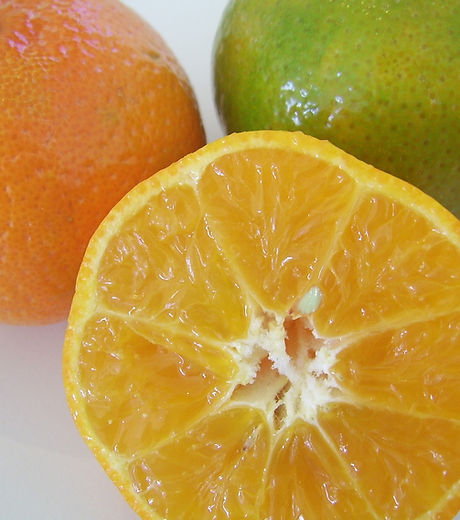 oranges-20059_1920.jpg