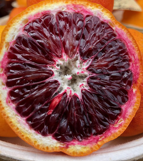 blood-orange-4051273_1920.jpg