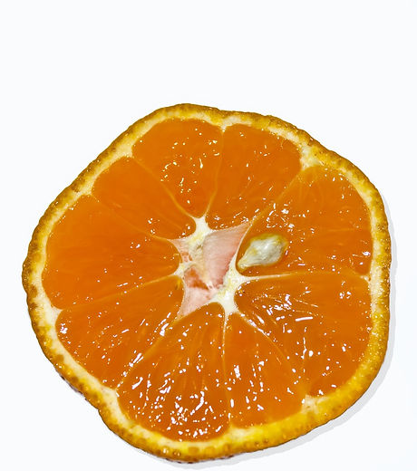 orange-2039829_1920_edited.jpg