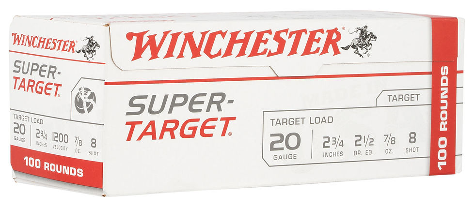 Winchester Super Target 20ga 2.75: 7/8oz 8 Shot 100rd Value Pack TRGT208VP Maine