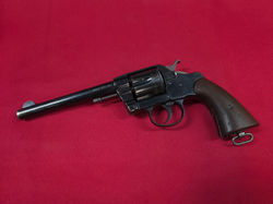 Colt 1901 Maine