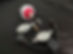 70195652_1355449051279957_27638350944759