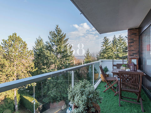 Parc de Diane vue du balcon.jpeg